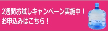 2週間お試しキャンペーン